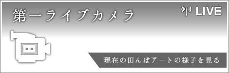 第一ライブカメラ